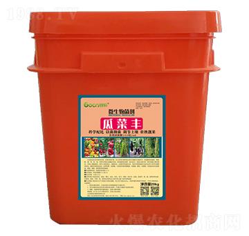 瓜菜豐微生物菌劑--固信生物