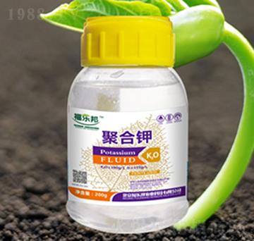 �ۺ��-������