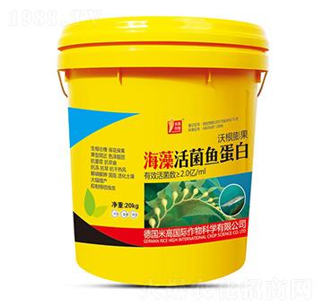 海藻活菌魚蛋白-圣氏潤(rùn)