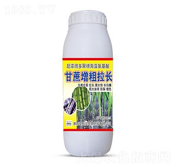 甘蔗增粗拉長(zhǎng)-圣氏潤(rùn)