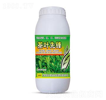 茶葉先鋒-圣氏潤(rùn)