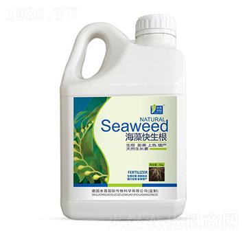 海藻快生根-圣氏潤(rùn)