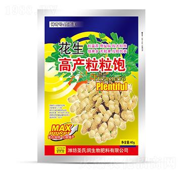 花生高產(chǎn)粒粒飽-圣氏潤(rùn)