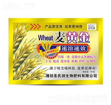 麥黃金-圣氏潤(rùn)
