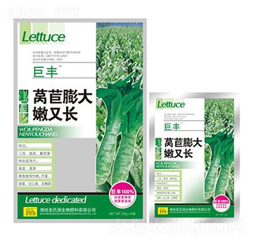 萵苣膨大嫩又長(zhǎng)-圣氏潤(rùn)