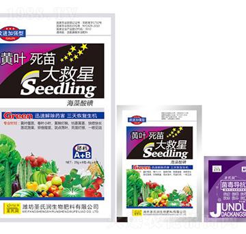 黃葉死苗大救星-圣氏潤(rùn)