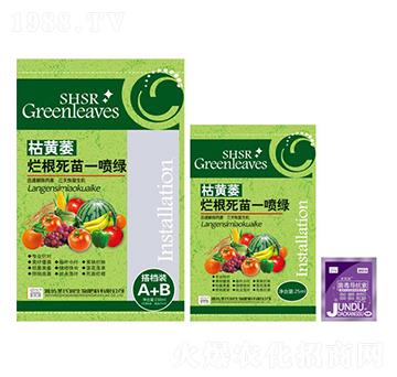 枯黃萎爛根死苗一噴綠-圣氏潤(rùn)