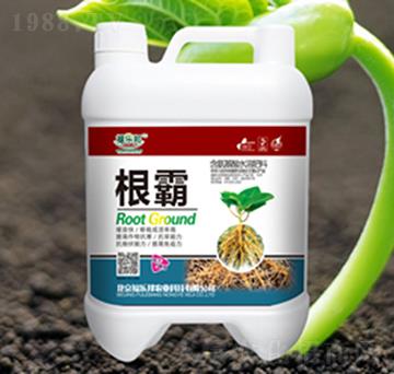 ����-����(l��)��