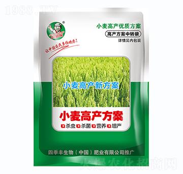 小麥高產(chǎn)方案-四季豐