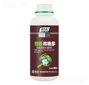 �ǿ���Ҷ�-ؐ����-��?t��ng)��S