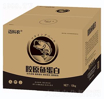 膠原魚蛋白-邁科農(nóng)-鑫垚生物