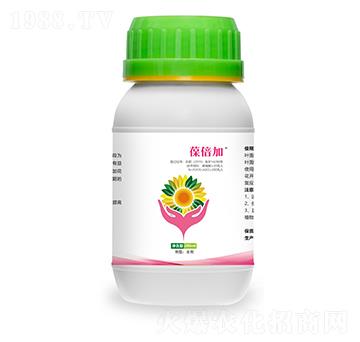 葆倍加-菜鄉(xiāng)品牌