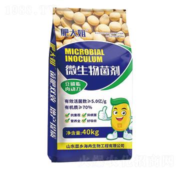 微生物菌劑-肥大姐-菜鄉(xiāng)品牌