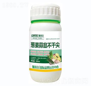 蔥姜蒜韭不干尖-伽米爾-羅思姆