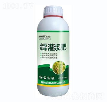 水稻孕穗灌漿肥-伽米爾-羅思姆