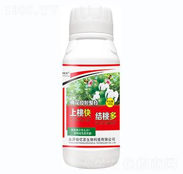 ���ҿ�Y�Ҷ�-�����S