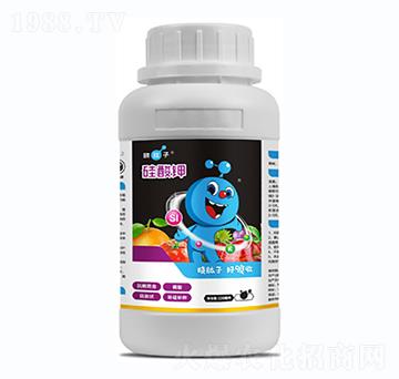 ����⛣�ƿ��-�Lɭ����