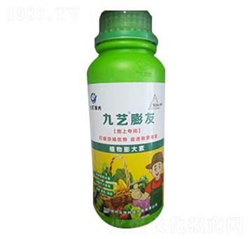 九藝膨友-九藝綠洲