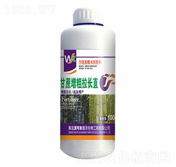 甘蔗增粗拉長直-沃可豐