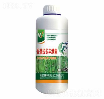 香蕉拉長豐滿素-沃可豐