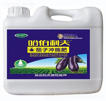 茄子專用沖施肥-哈伯利夫