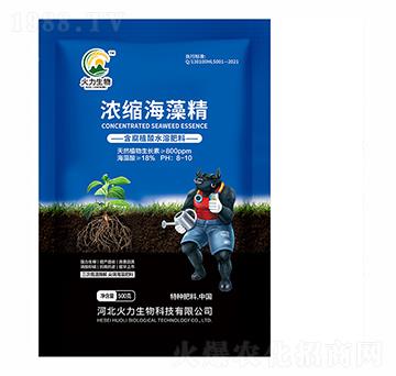 含腐植酸水溶肥料-濃縮海藻精-大地豐生物