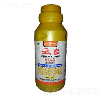 ������ʩ����΢�������-���_