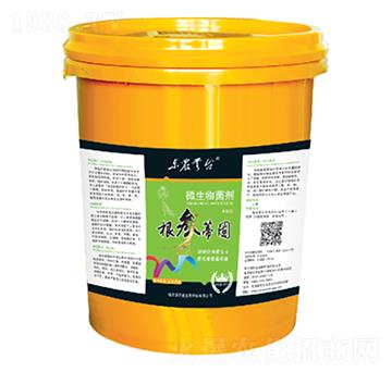 ����ٹ�΢�������-���_