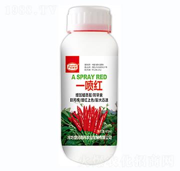 һ���t-ʢ���߿�