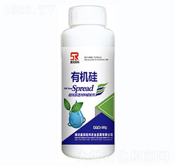 �ЙC(j��)��-ʢ���߿�