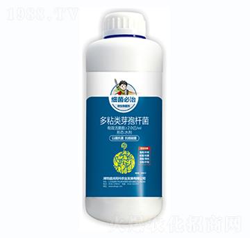 ��ճ�ѿ�ߗU��-��(x��)������-ʢ��(r��n)�߿�