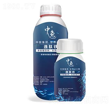 �����F-�����r(n��ng)�I(y��)