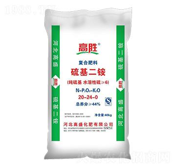 ������@20-24-0-��ʢ