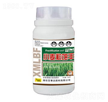 小麥粒飽豐-百事達(dá)