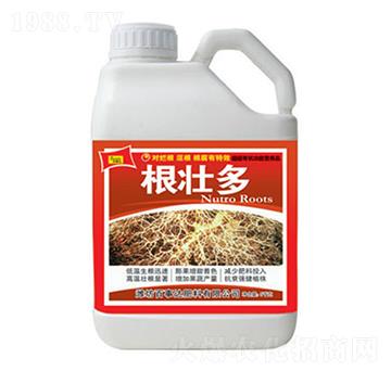 根壯多-百事達(dá)