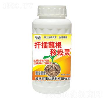 扦插移栽靈-百事達(dá)