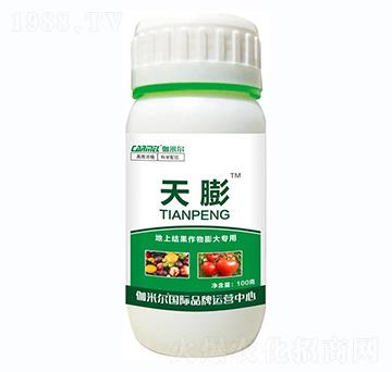 地上果實(shí)類膨大專用-天膨-伽米爾-羅思姆