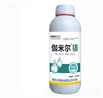 伽米爾鎂-羅思姆