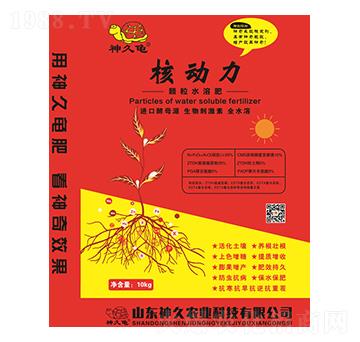 神久核動(dòng)力顆粒水溶肥-神久農(nóng)業(yè)