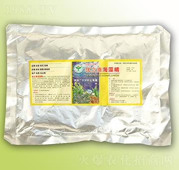 ��(y��u)֮�غ��徫-��(y��u)��˹