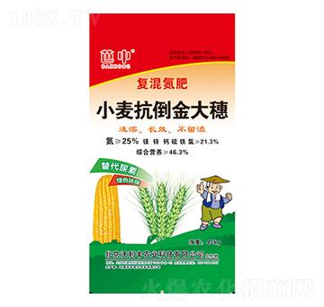 С�����������-�����r�I(y��)