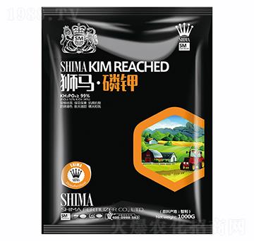 �{�R���1000g-�{�R�ʘI(y��)