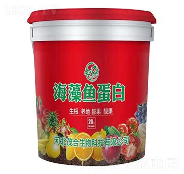 海藻魚蛋白-走八方-茂合生物