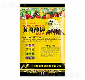 �S��������Ϸ�-�ѿ�