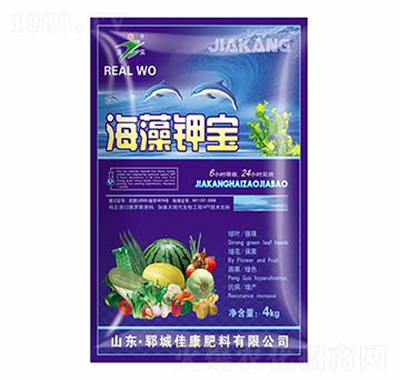 ����⛌�-�ѿ�