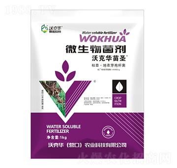 微生物菌劑-沃克華苗圣-沃克華