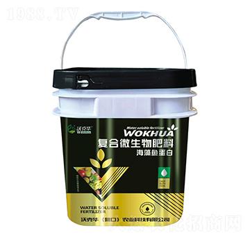 ��(f��)��΢�����-�����~����-�ֿ��A