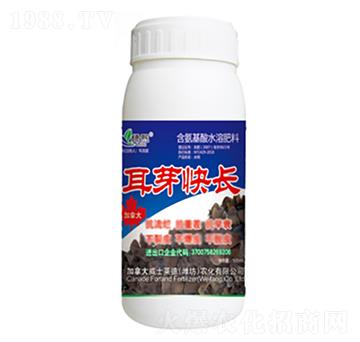 耳芽快長-綠熙-威士萊德