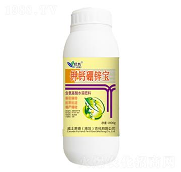 1000g��}���\��-�G��-��ʿ�R��