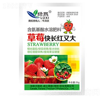 草莓快長紅又大-綠熙-威士萊德